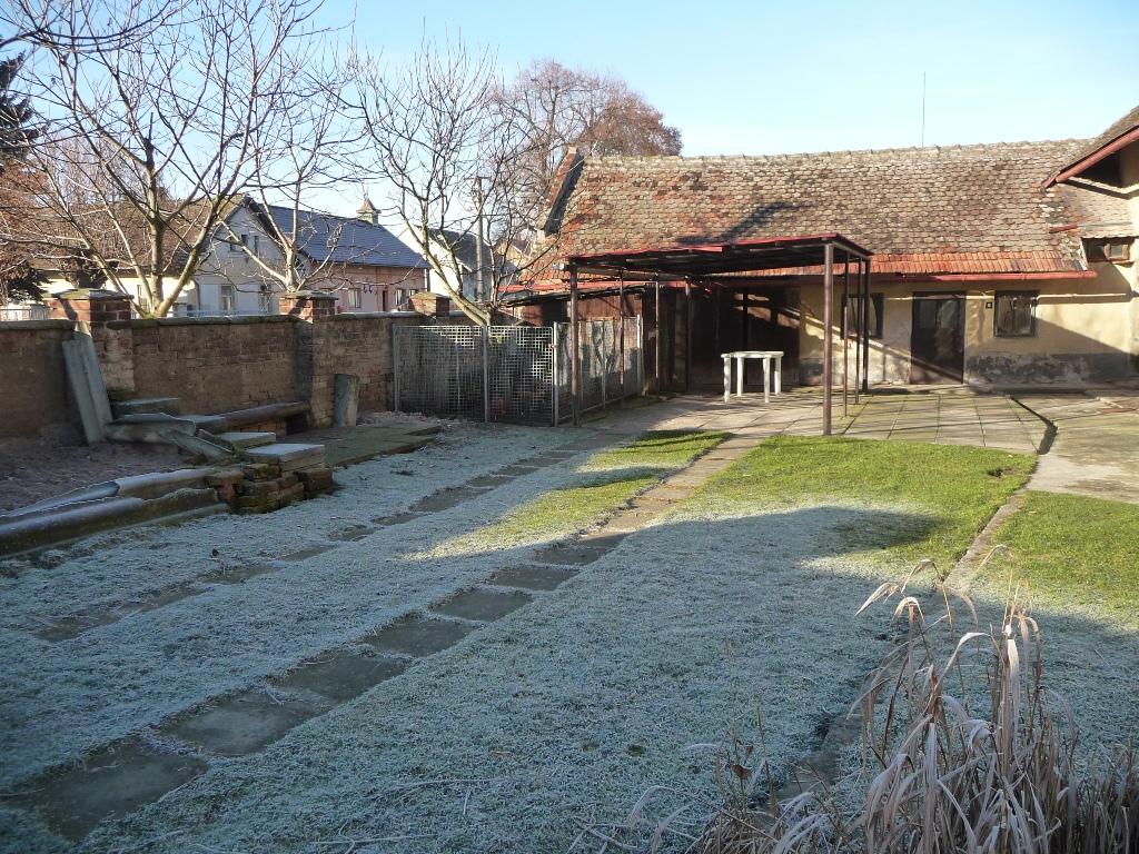 Třibřichy
